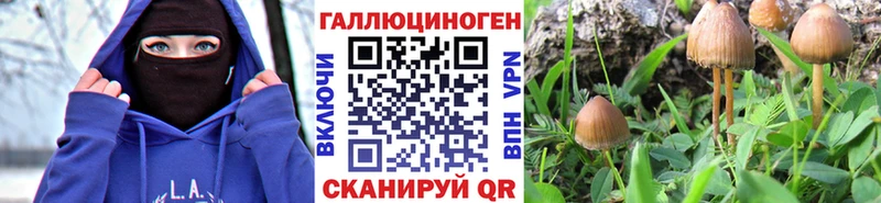 магазин продажи   Пучеж  Галлюциногенные грибы GOLDEN TEACHER 